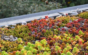 the cost of Workhouse End green roof installation