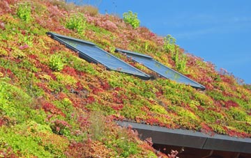 Workhouse End living roof systems